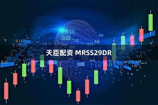 天臣配资 MRSS29DR