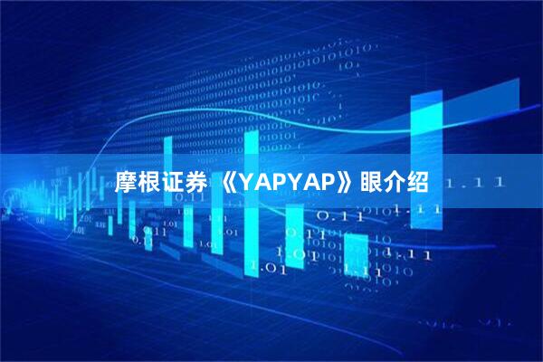摩根证券 《YAPYAP》眼介绍