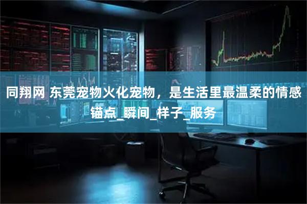 同翔网 东莞宠物火化宠物，是生活里最温柔的情感锚点_瞬间_样子_服务