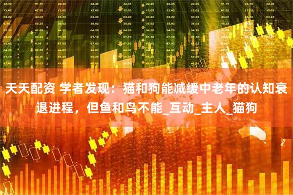 天天配资 学者发现：猫和狗能减缓中老年的认知衰退进程，但鱼和鸟不能_互动_主人_猫狗