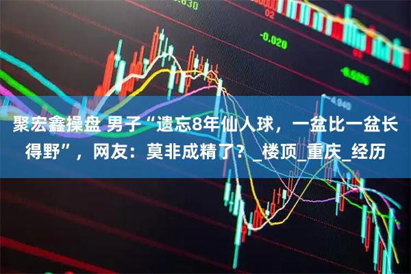 聚宏鑫操盘 男子“遗忘8年仙人球，一盆比一盆长得野”，网友：莫非成精了？_楼顶_重庆_经历