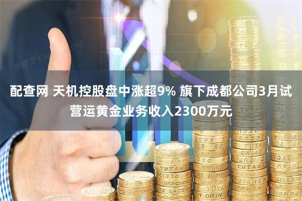 配查网 天机控股盘中涨超9% 旗下成都公司3月试营运黄金业务收入2300万元